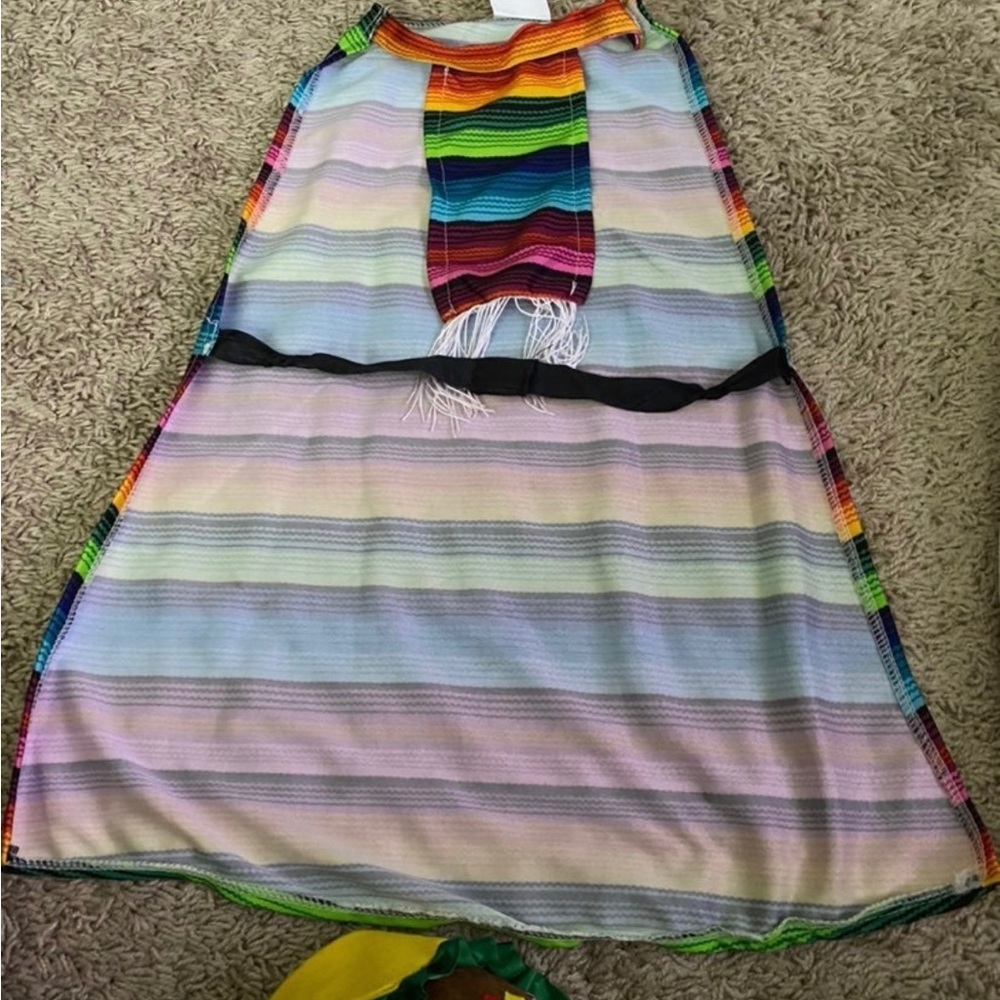 Taco pet Halloween costume - Picture 5 of 7